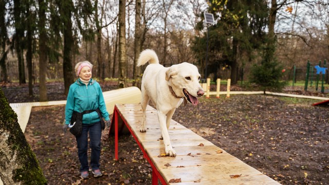 Администрация городского округа «Город Обнинск», декабрь 2025, г. Обнинск 